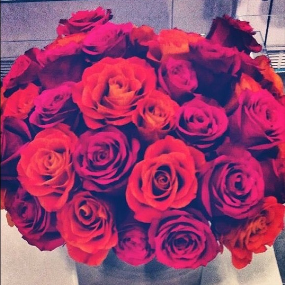 Meet your Posher, Talia - Picture 1 of 1